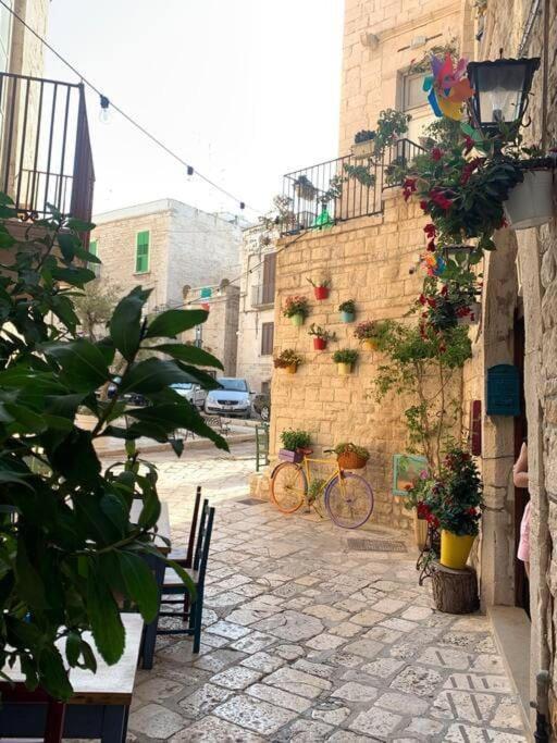 Casa Vacanza Raggio Di Sole Giovinazzo Luaran gambar